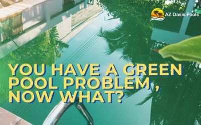 You Have a Green Pool Problem, Now What?