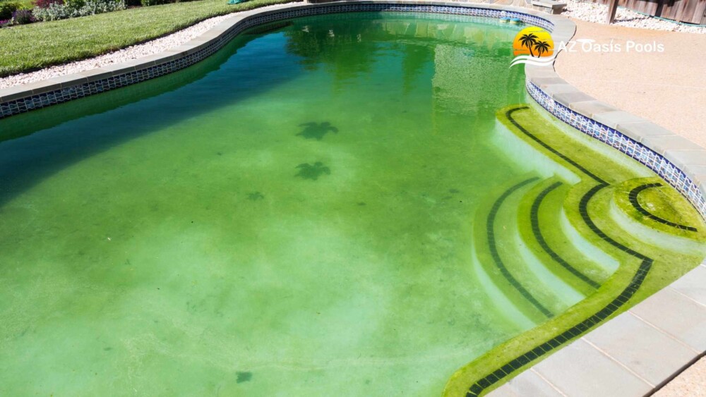 BLOG - AZ Oasis Pools - Top 10 Warning Signs of a Pool Leak – Spot Them Before Disaster