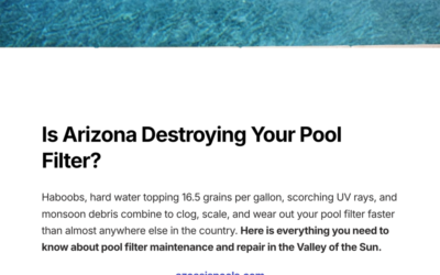 Pool Filter Maintenance & Repair Guide for Arizona: Beat Dust, Scale & Hard Water