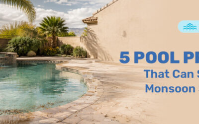 5 Pool Problems That Can Show Up After Monsoon Storm Season in Phoenix